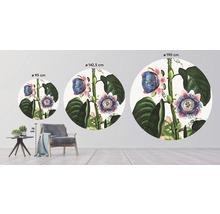 Fototapeta vliesová Passie flóra 142,5 cm