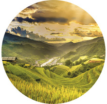 Fototapeta vliesová Vietnam 142,5 cm