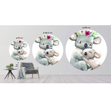 Fototapeta vliesová Koala 142,5 cm