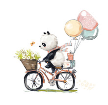 Fototapeta vliesová Panda na bicykli 142,5