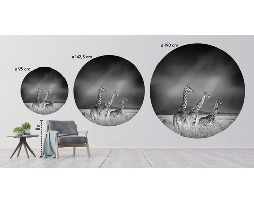 Nástenné obrazy s motívom žirafy v troch rôznych veľkostiach: 95 cm, 142,5 cm a 190 cm.