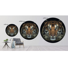 Fototapeta vliesová Tiger 190 cm