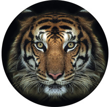 Fototapeta vliesová Tiger 190 cm