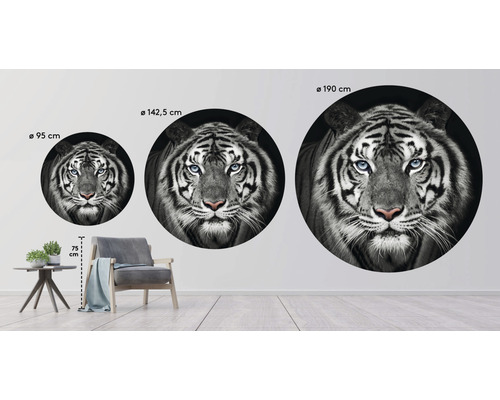 Tri nástenné nálepky s motívmi tigra v rôznych veľkostiach v obývacej izbe.