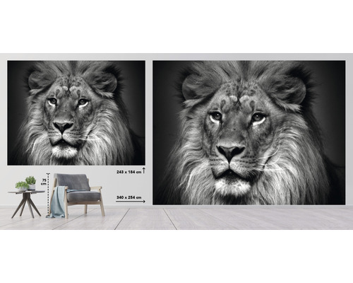 Fototapeta s motívom leva v čiernej a bielej farbe, 340 x 254 cm