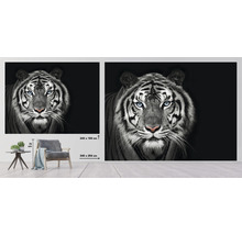 Nástenná maľba s motívom tigra, veľkosť 340 x 254 centimetrov