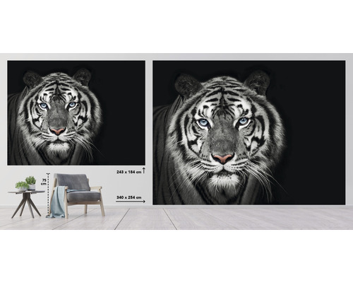 Nástenná maľba s motívom tigra, veľkosť 340 x 254 centimetrov