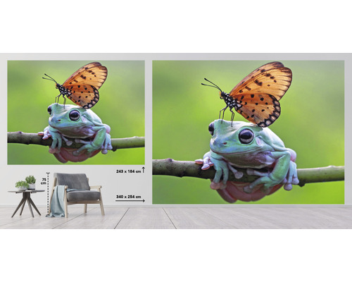 Fototapeta so žabou a motýľom