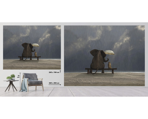 Nástenná maľba so slonom a surikátou sediacimi na lavičke v daždi