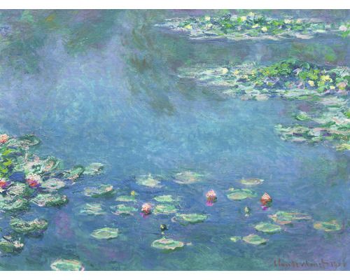 Fototapeta vliesová Monet lekná Rozmer 243x184 cm