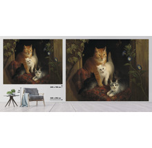 Foto tapeta s motívom mačiek, rozmery 340 x 254 centimetrov