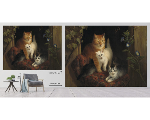 Foto tapeta s motívom mačiek, rozmery 340 x 254 centimetrov