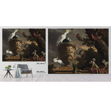 Foto tapeta s motívom zvierat, približne 243 x 184 cm