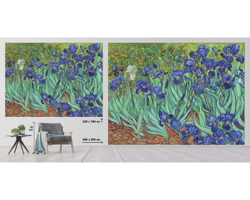 Fototapeta s motívom modrých kosatcov v štýle Van Gogha