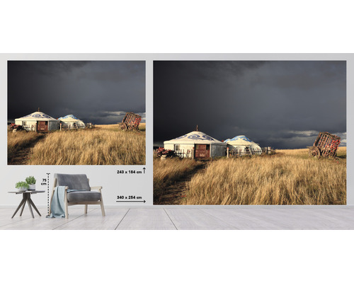 Fototapeta s jurtami a poľom, rozmer 340 x 254 centimetrov