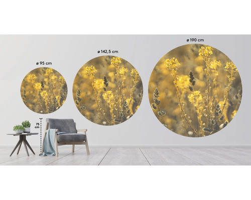 Tri okrúhle nástenné maľby s motívom rastlín v rôznych veľkostiach v priestorovom zobrazení