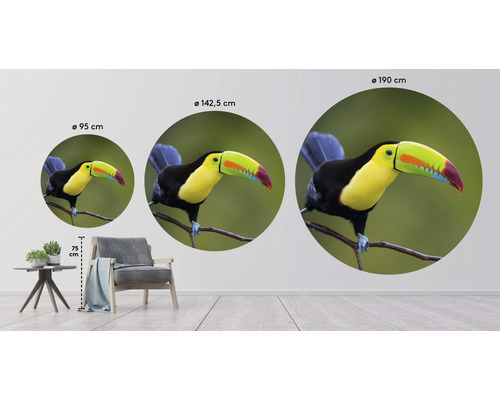 Samolepka na stenu s motívom tukana v troch rôznych veľkostiach ako príklady dekorácie