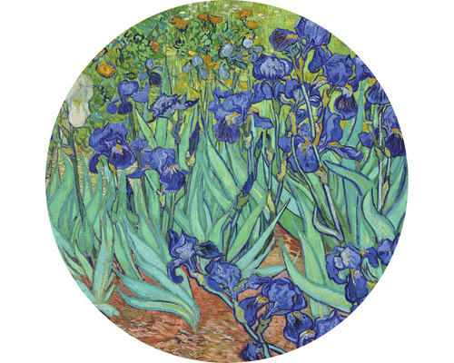 Fototapeta vliesová Van Gogh 190 cm