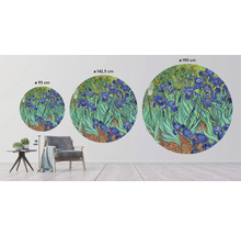 Fototapeta vliesová Van Gogh 190 cm