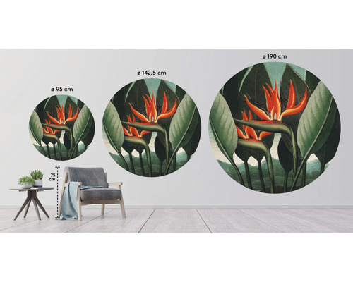 Ilustrácia okrúhlych nástenných malieb s kvetmi rajek v rôznych veľkostiach