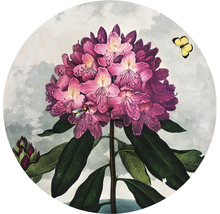 Ilustrácia kvetu rododendronu s včelou a motýľom