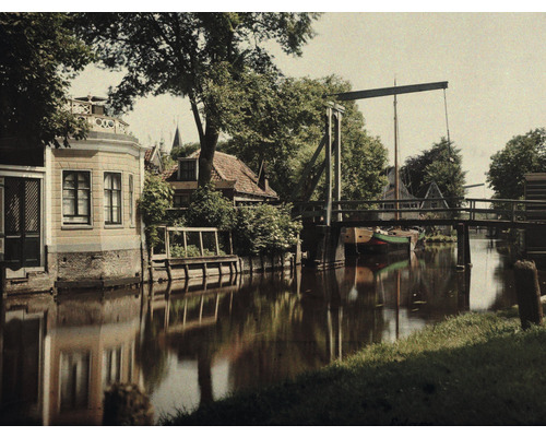 Fototapeta vliesová Holandský eidam 243x184 cm