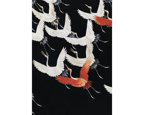 Fototapeta vliesová Japonské žeriavy 194x280
