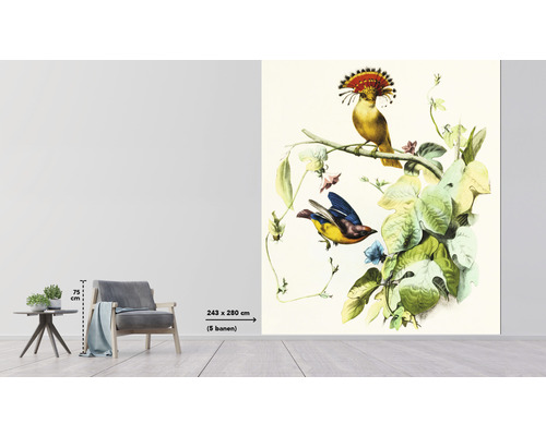 Pohľad do miestnosti s tapetou s motívmi vtákov a rastlinami, rozmery 243 krát 280 centimetrov