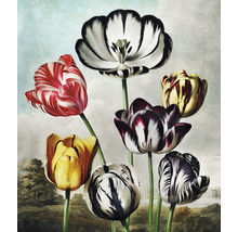 Maľba s rôznymi tulipánmi pred krajinou
