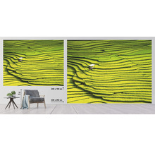 Fototapeta s motívom ryžových terás s rozmermi 340 x 254 centimetrov