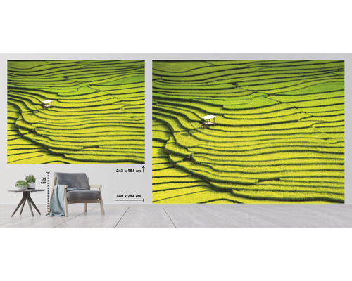 Fototapeta s motívom ryžových terás s rozmermi 340 x 254 centimetrov