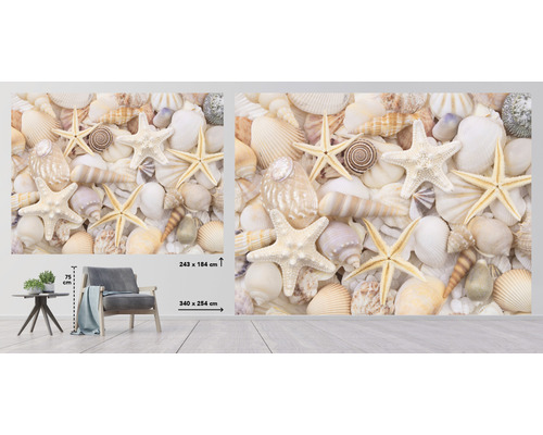 Foto tapeta s mušľami a hviezdicami v obývacej izbe