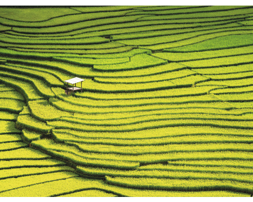 Fototapeta vliesová Thajsko 340x254 cm