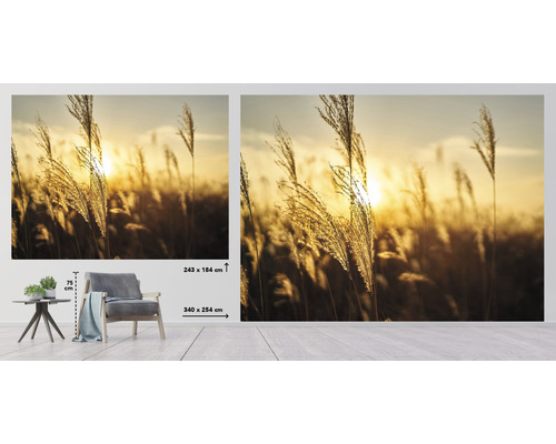 Fototapeta s trávami v protisvetle, rozmery 243 x 184 centimetrov a 340 x 254 centimetrov