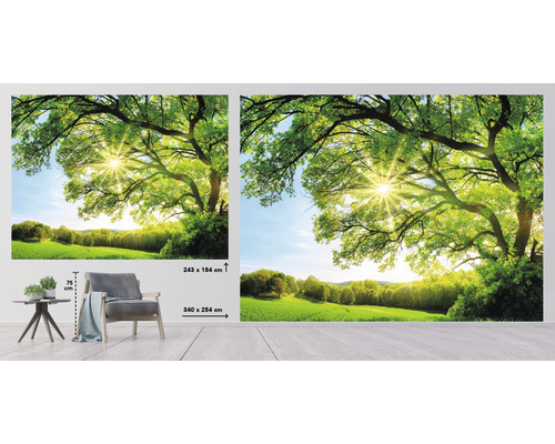 Fototapeta s motívom lesa a slnečným svitom