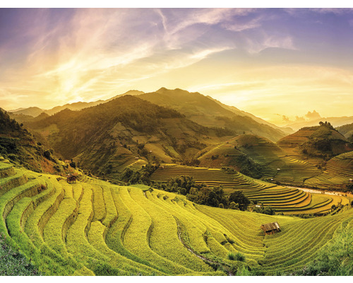 Fototapeta vliesová Vietnam 340x254 cm