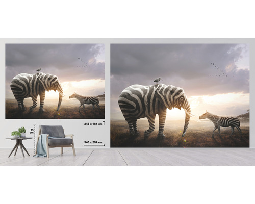 Foto tapeta so zebrovým slonom a zebra