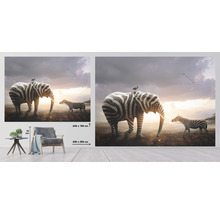 Nástenná maľba so zebra-slonom a zebrou v tráve, rozmery 243 x 184 centimetrov a 340 x 254 centimetrov