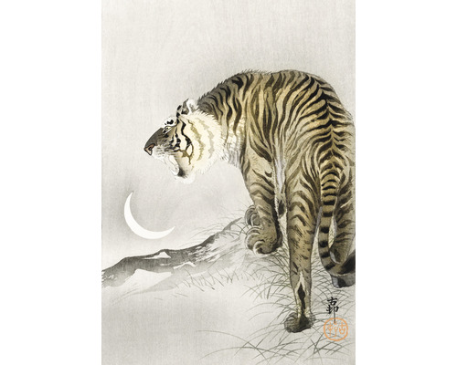 Fototapeta vliesová Tiger 194x280 cm