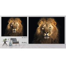 Fototapeta vliesová Lev 340x254 cm