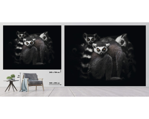 Nástenná maľba s lemurmi, rozmery uvedené na obrázku