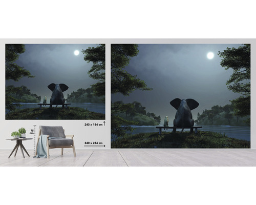 Fototapeta s vyobrazením slona a vtáka na lavičke pod mesiacom