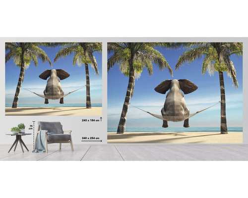 Fototapeta so slonom v hojdacej sieti medzi palmami na pláži