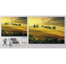 Nástenná maľba s motívom krajiny, Toskánsko, Taliansko, rozmery 340 x 254 centimetrov a 243 x 184 centimetrov