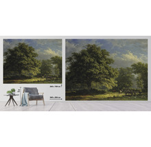 Fototapeta vliesová Bentheimský les 340x254
