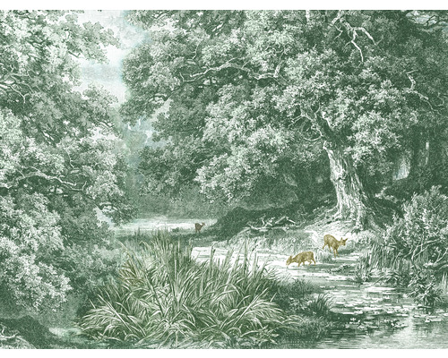 Fototapeta vliesová Jeleň v lese 340x254