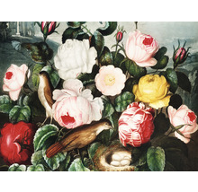 Fototapeta vliesová Kvety a vtáčik 340x254 cm