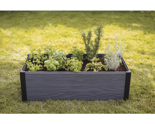 Vyvýšený záhon s bylinkami a rastlinami v záhrade.