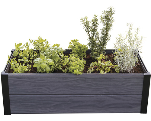 Vyvýšený záhon s rôznymi bylinkami, ako je bazalka, petržlen a rozmarín