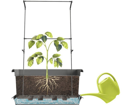 Kvetináč s podperou pre popínavé rastliny, rastlina a kanva